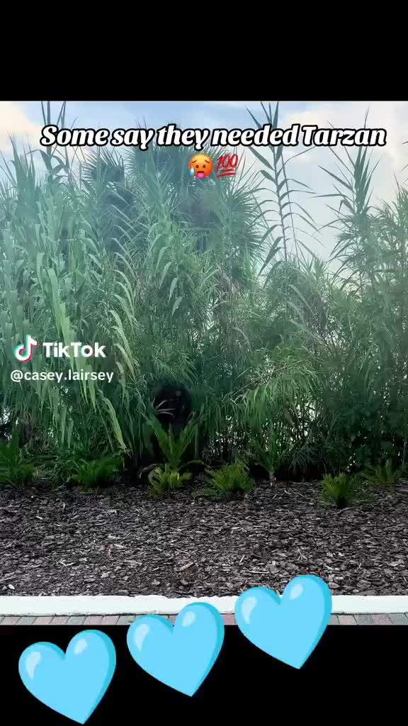 @mc.solano69