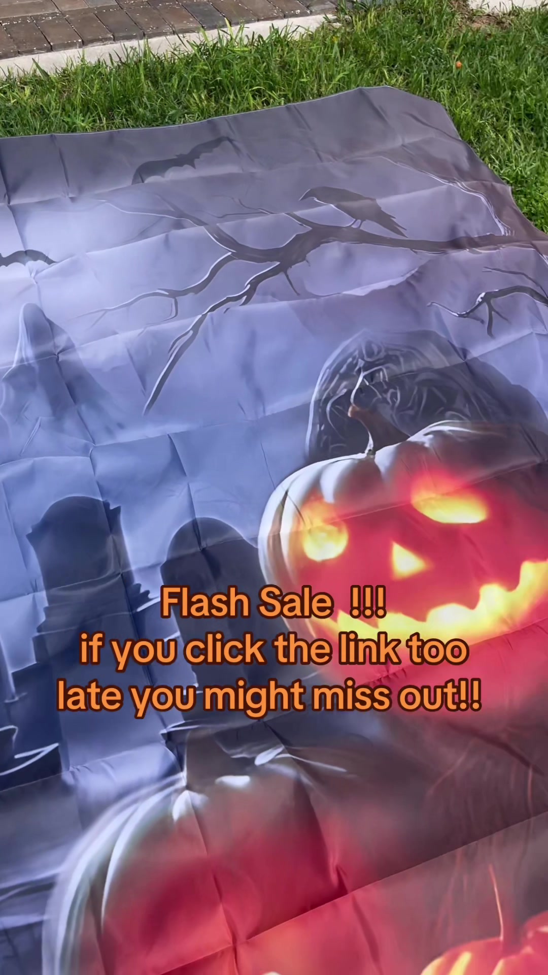@petedfinds