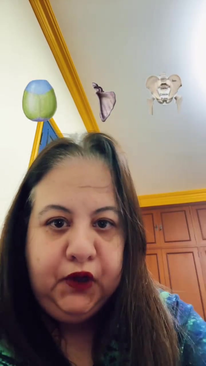 @anatomia virtual