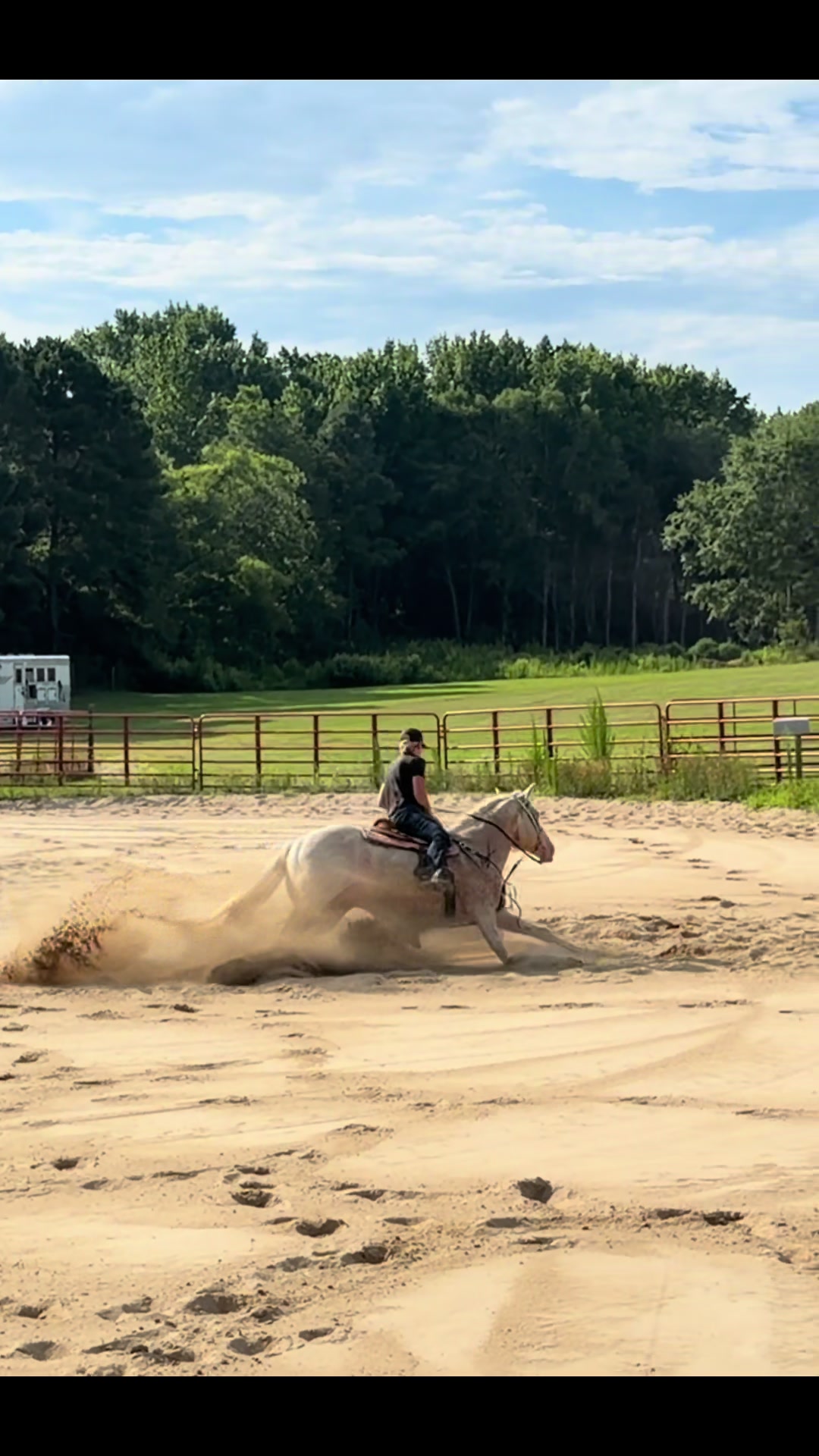 @KY Performance Horses