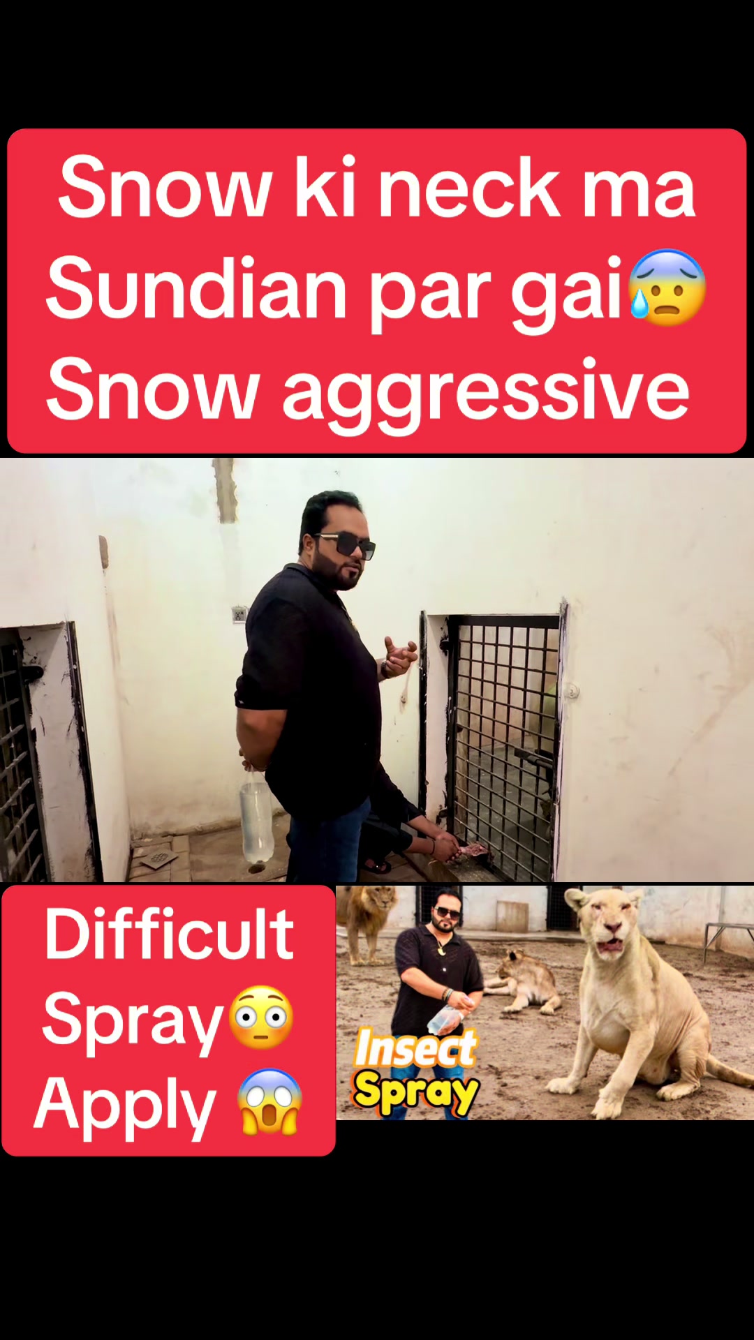 @Mian saqib