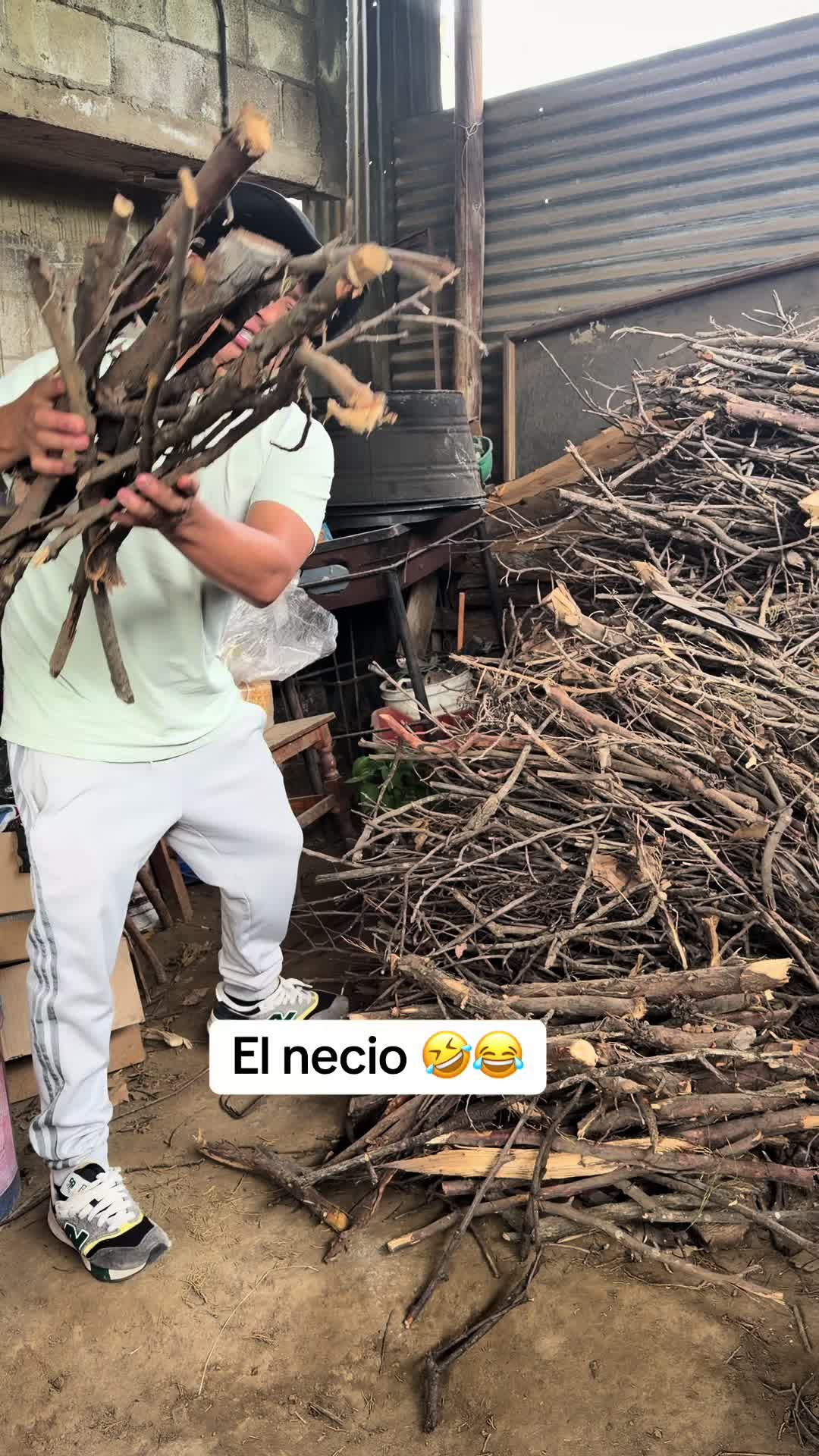 @Rafael Pacheco 🐥⚔️