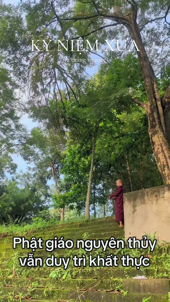 @TK Bảo &Acirc;n