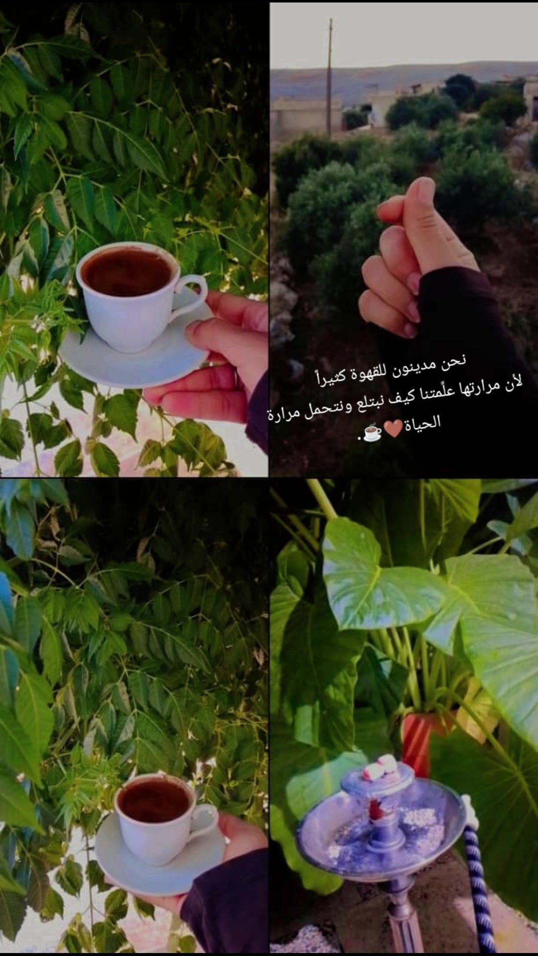 @:مـــ&weierp;َؒؔـزاجٌّــ&weierp;َؒؔــَٰٖٖٙه