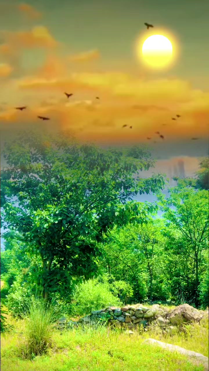 @Khubaib💫khan💔ss