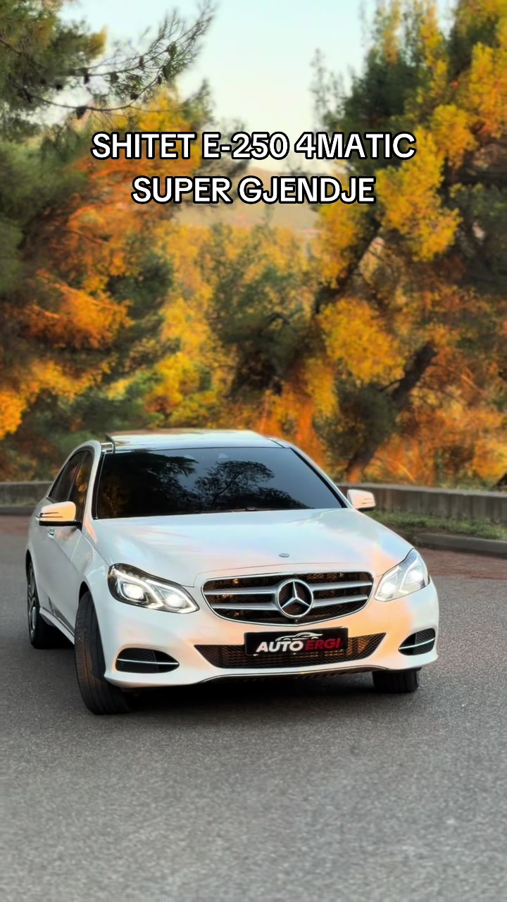 @Auto Ergi