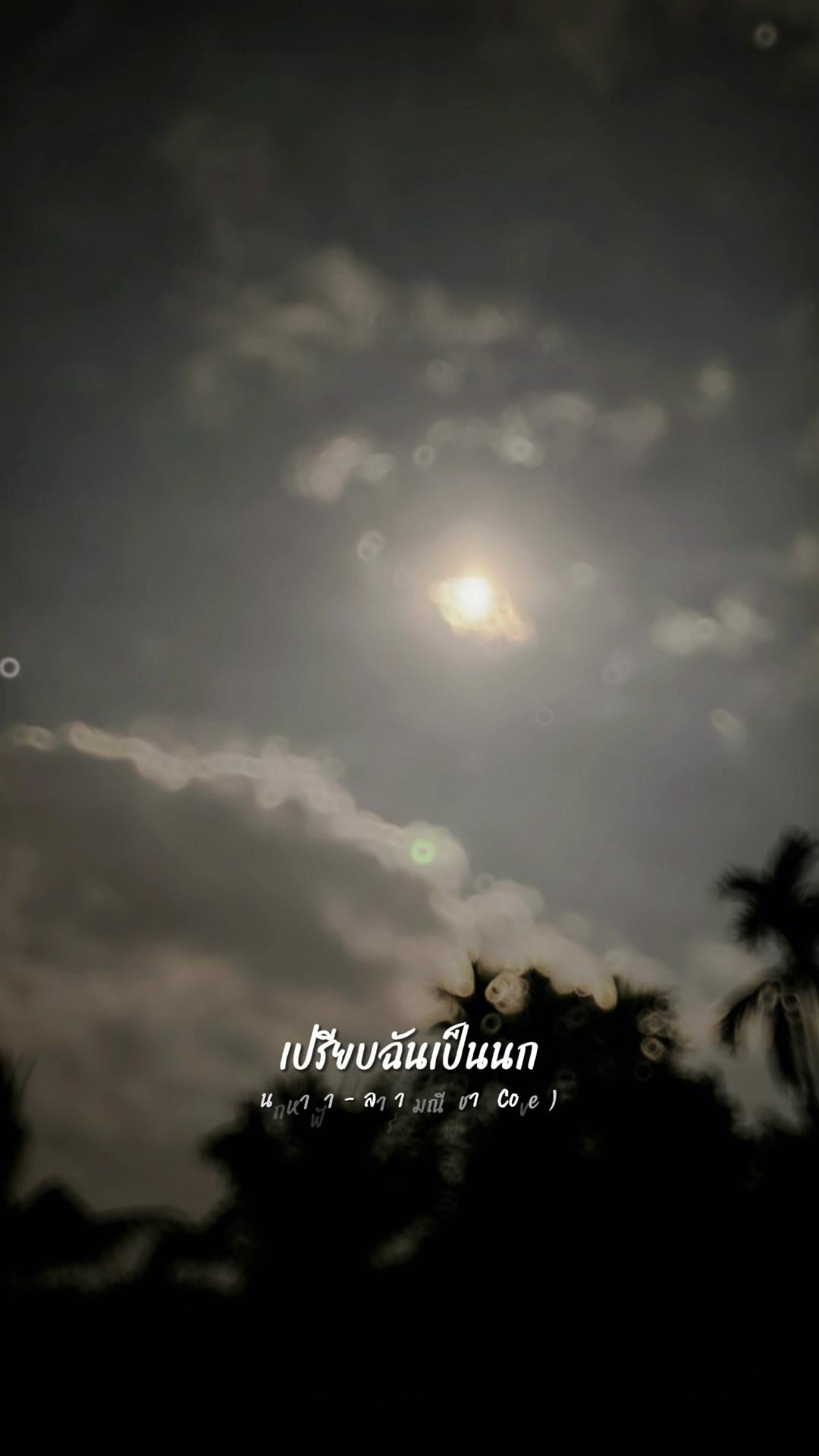 @Nid.2519💚