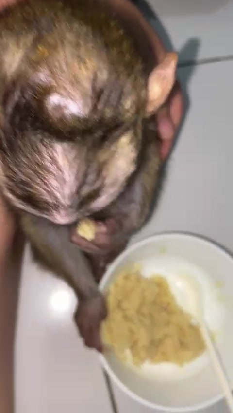 @Michelle🐒