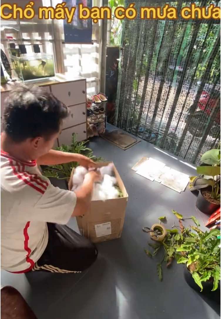 @Kid Garden Decor