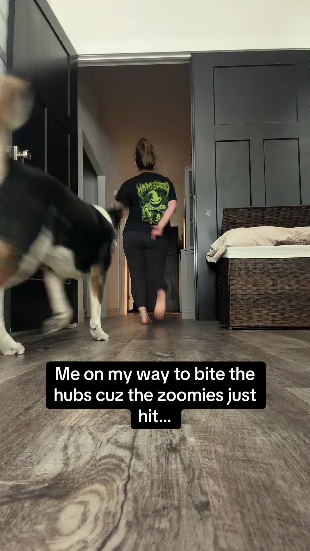 @Schatz224