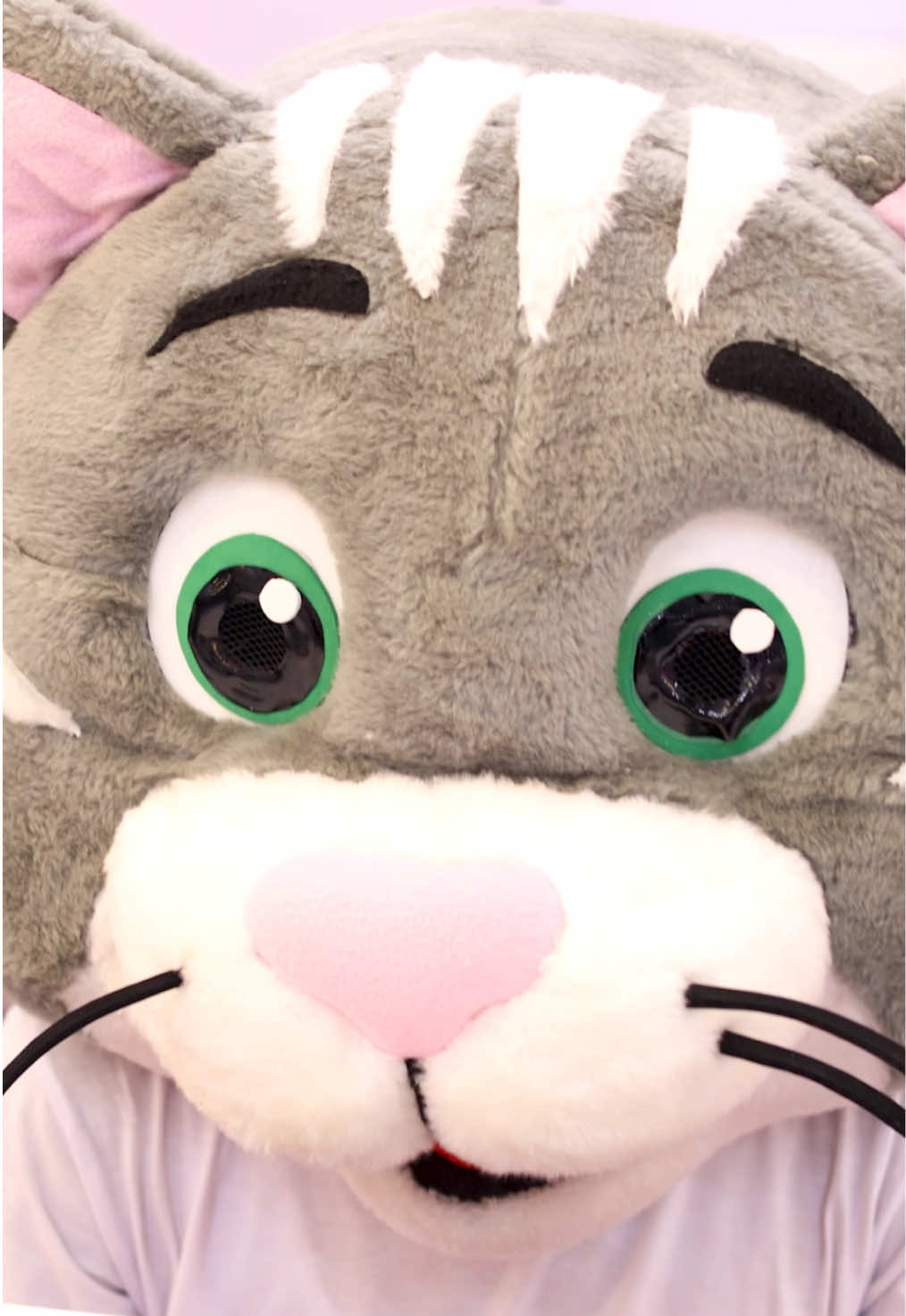 @Catgurt