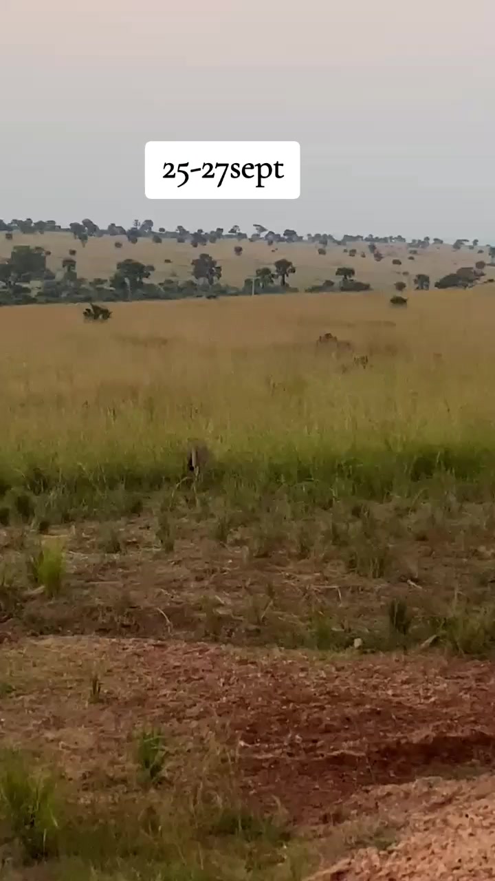 @marbanjisafaris
