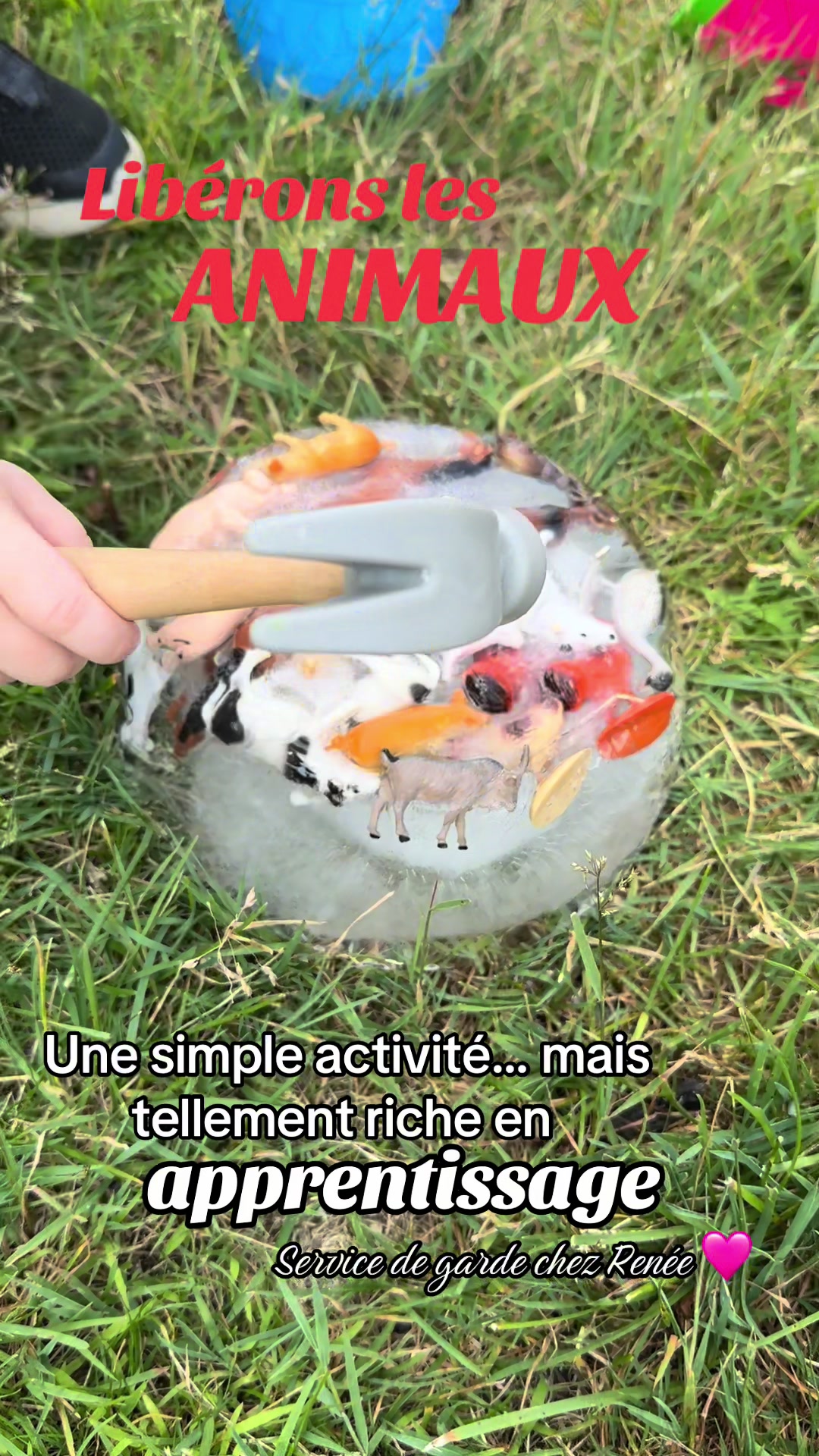 @Renée Entre Éducatrice