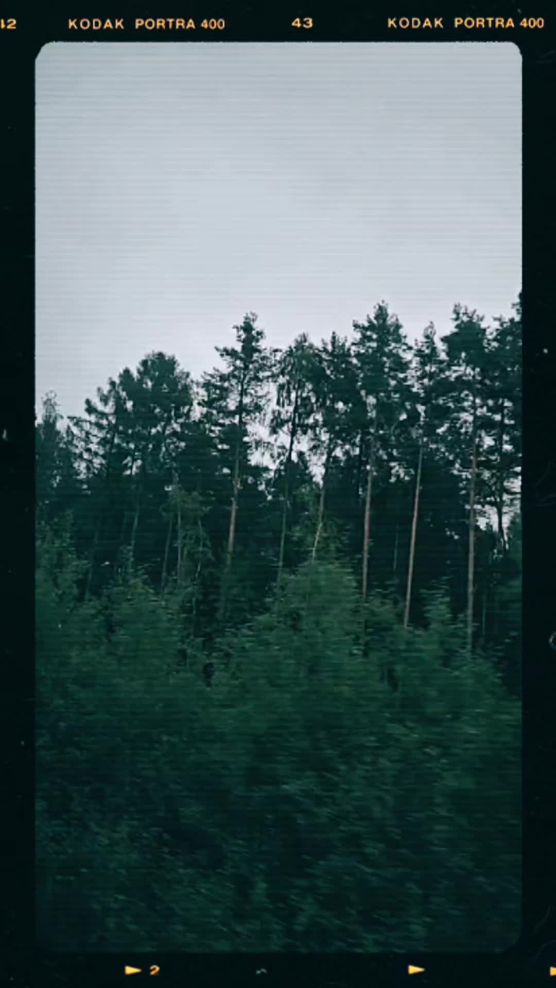 @smart_dev_engine