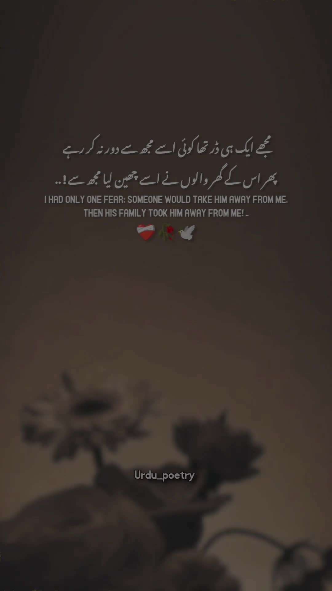 @𝐃𝐞𝐞𝐩 𝐥𝐢𝐧𝐞𝐬 ✨