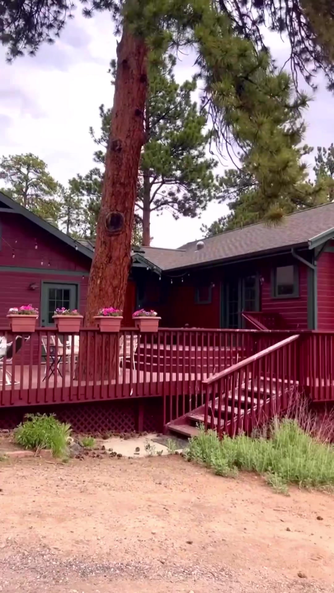 @Estes&ensp;Pines
