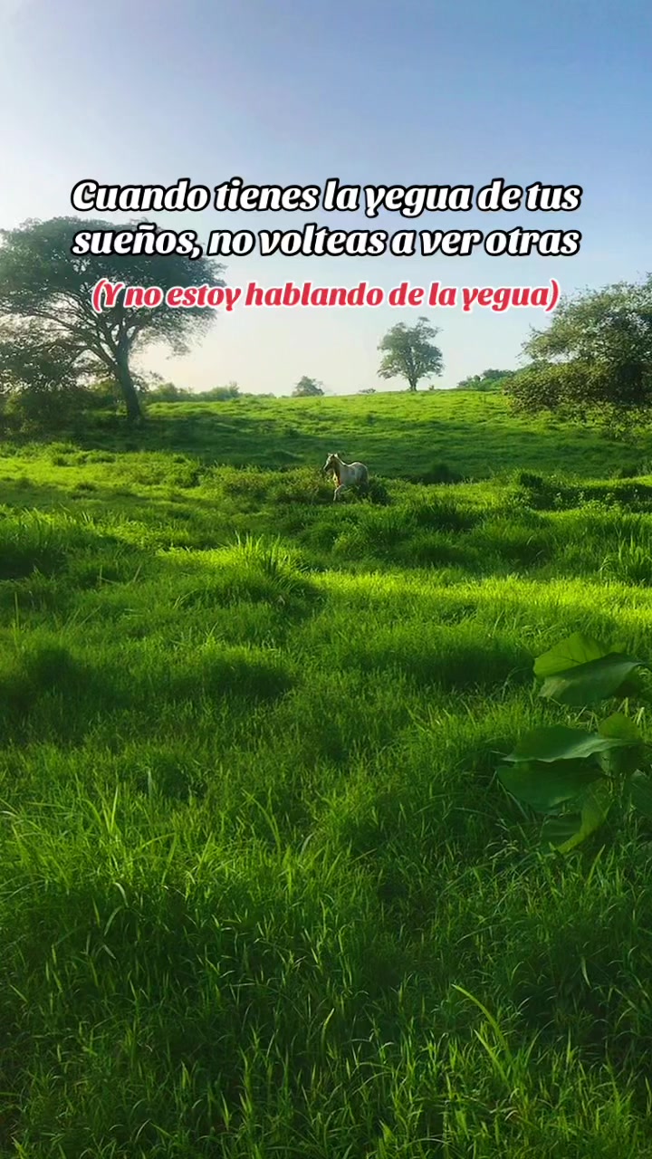 @pilot.rogelio13