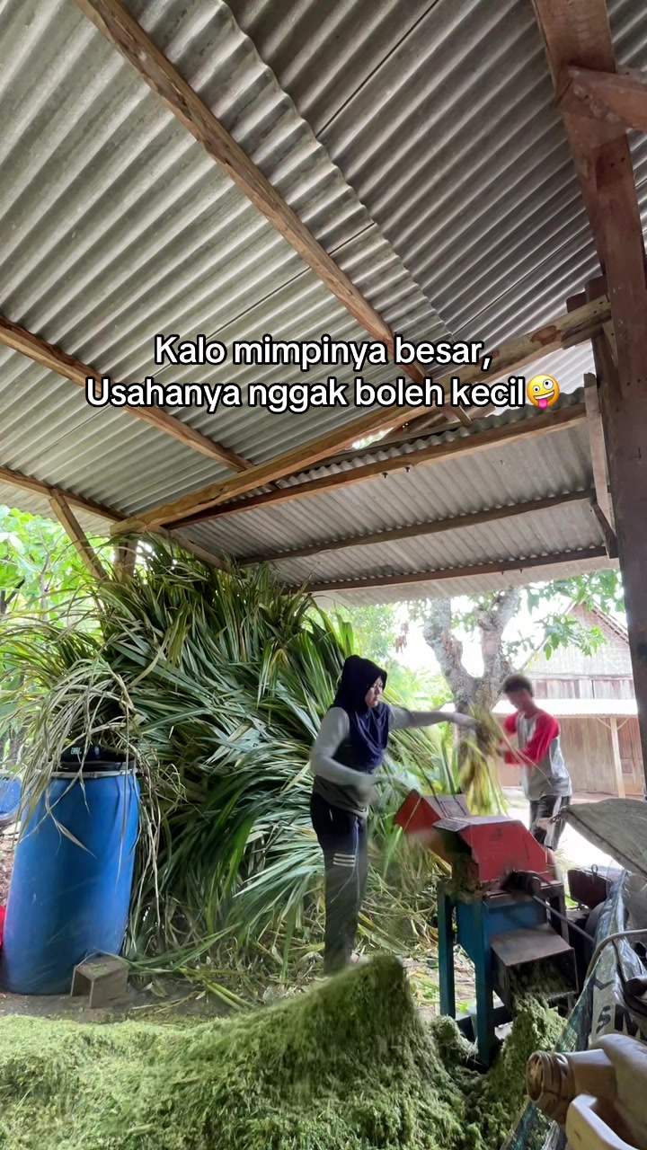 @DhanniaFarm