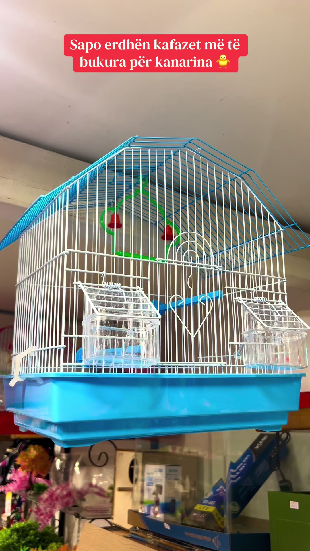 @PET SHOP KRISTI