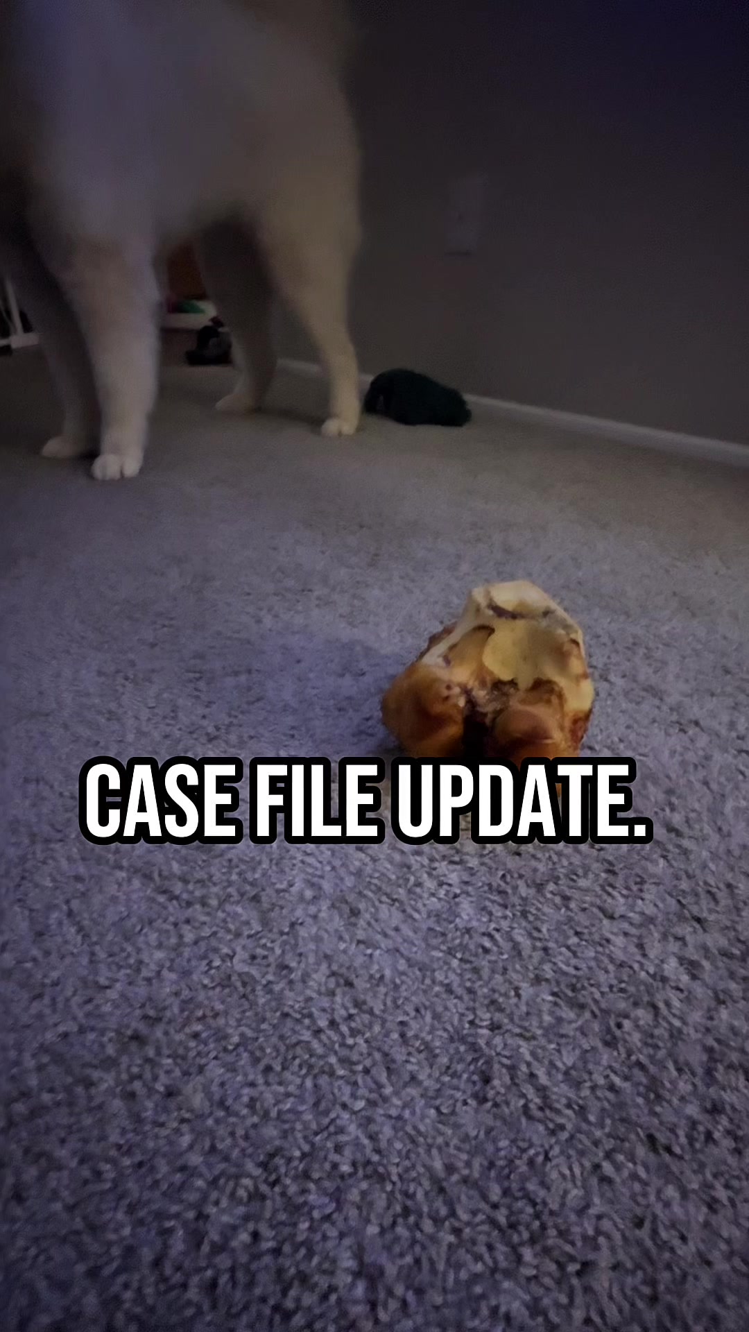 @jessisback13