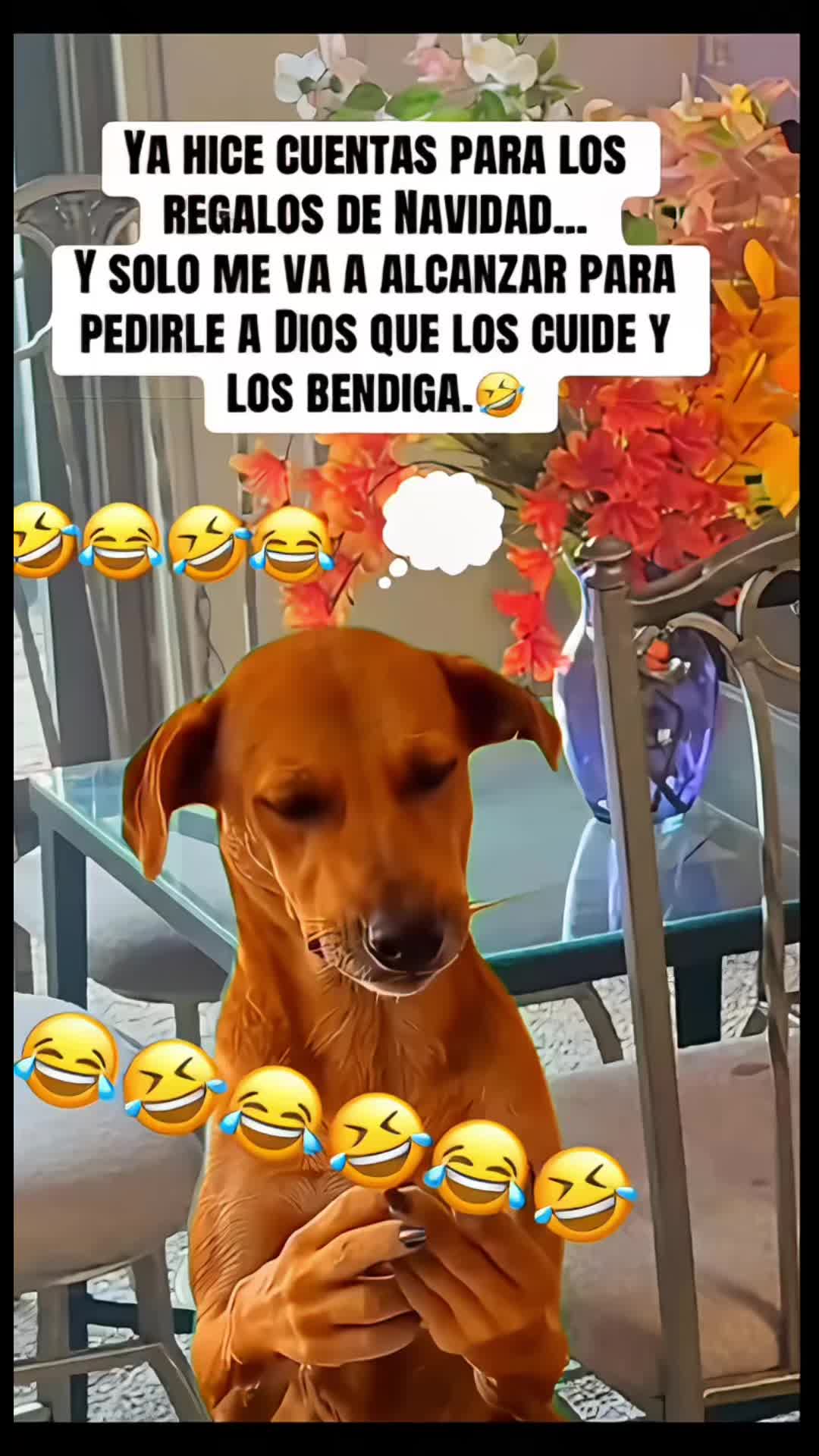 @Pedro Cruz
