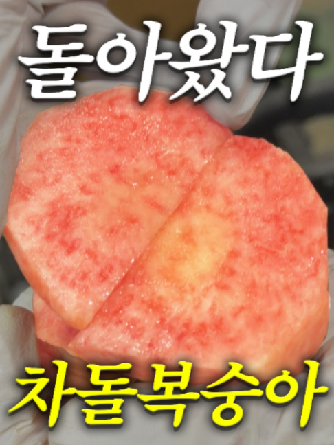 @해운대송사장