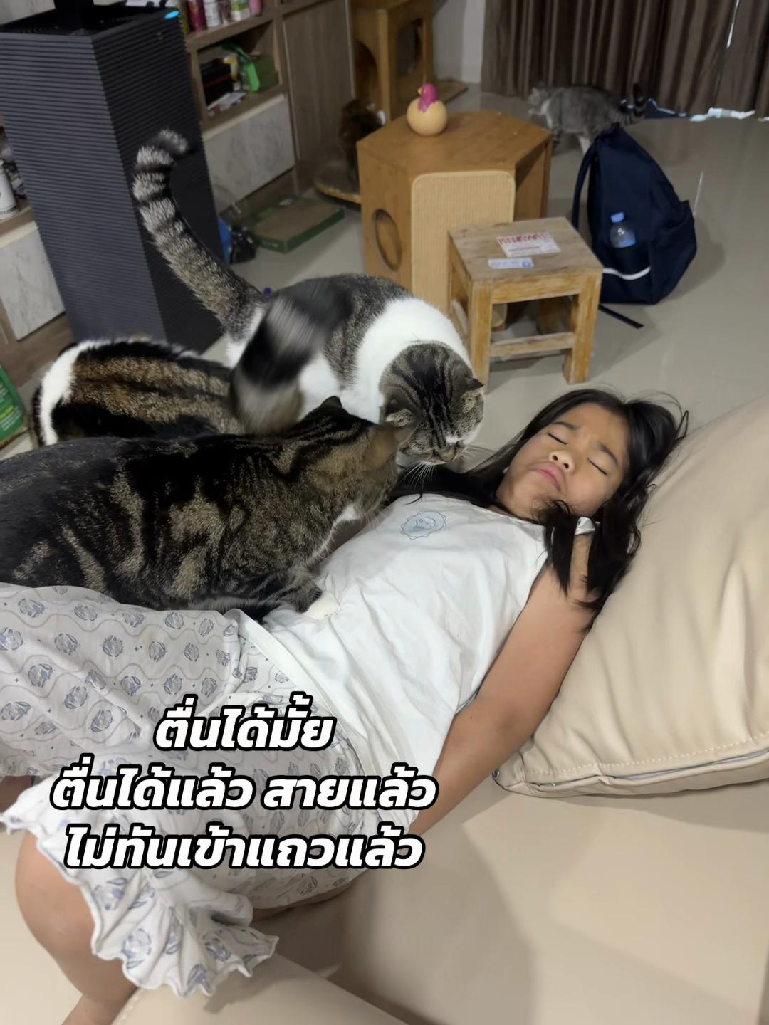 @แม่จูน