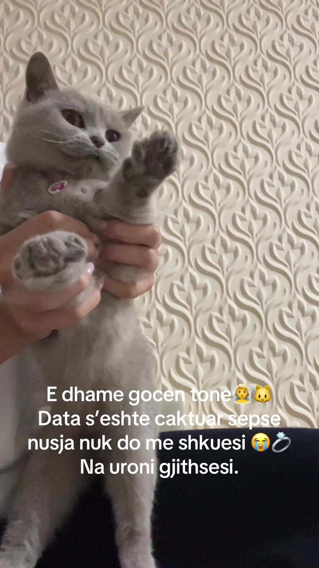 @matchaathecat