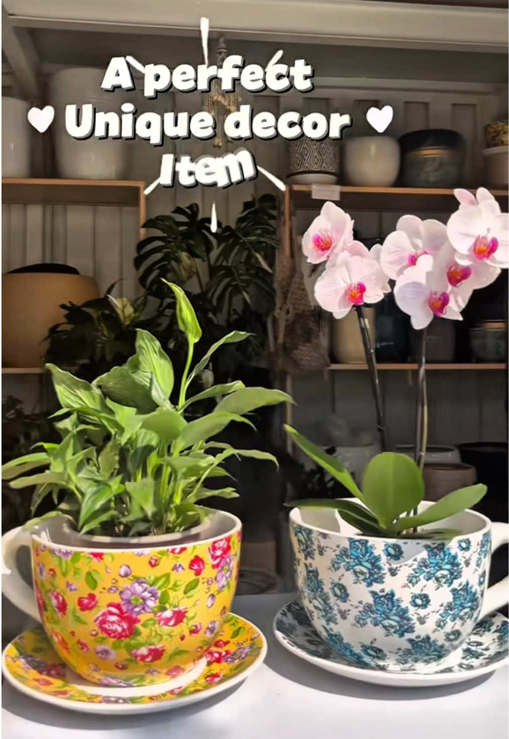 @Mimachha Pottery