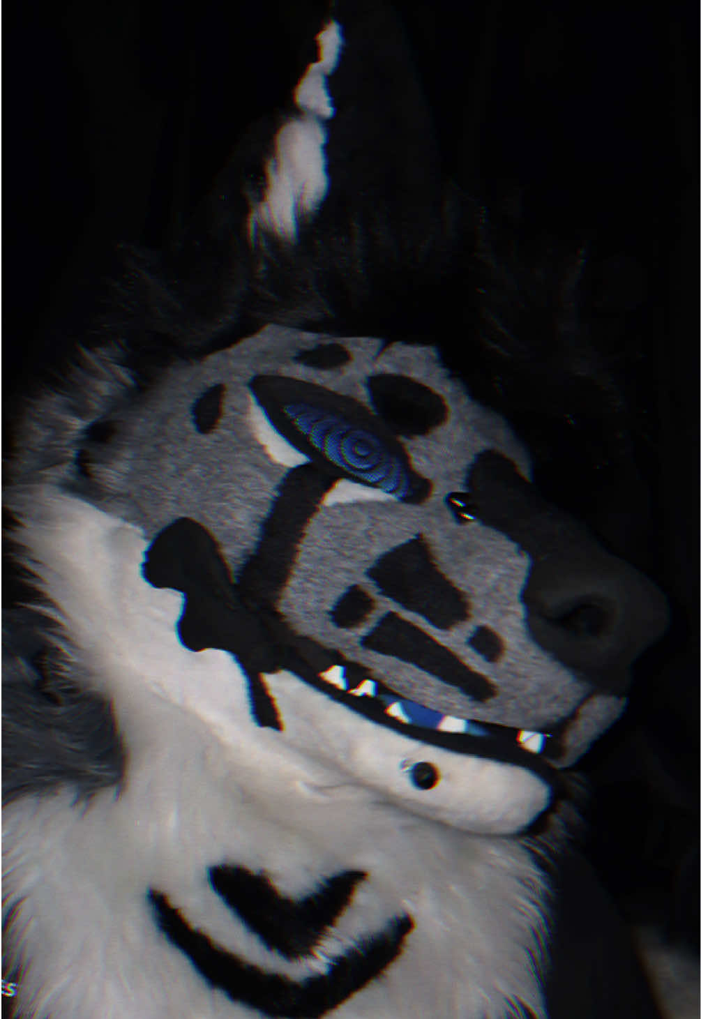 @sonar_hyena_shark