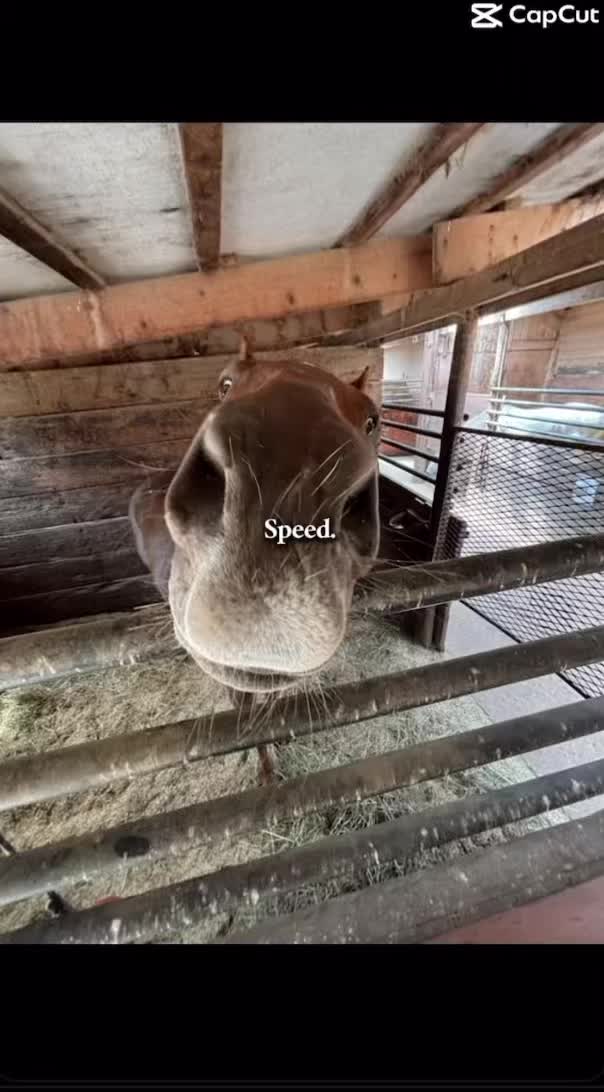 @keria_🌻🏇🏽💕