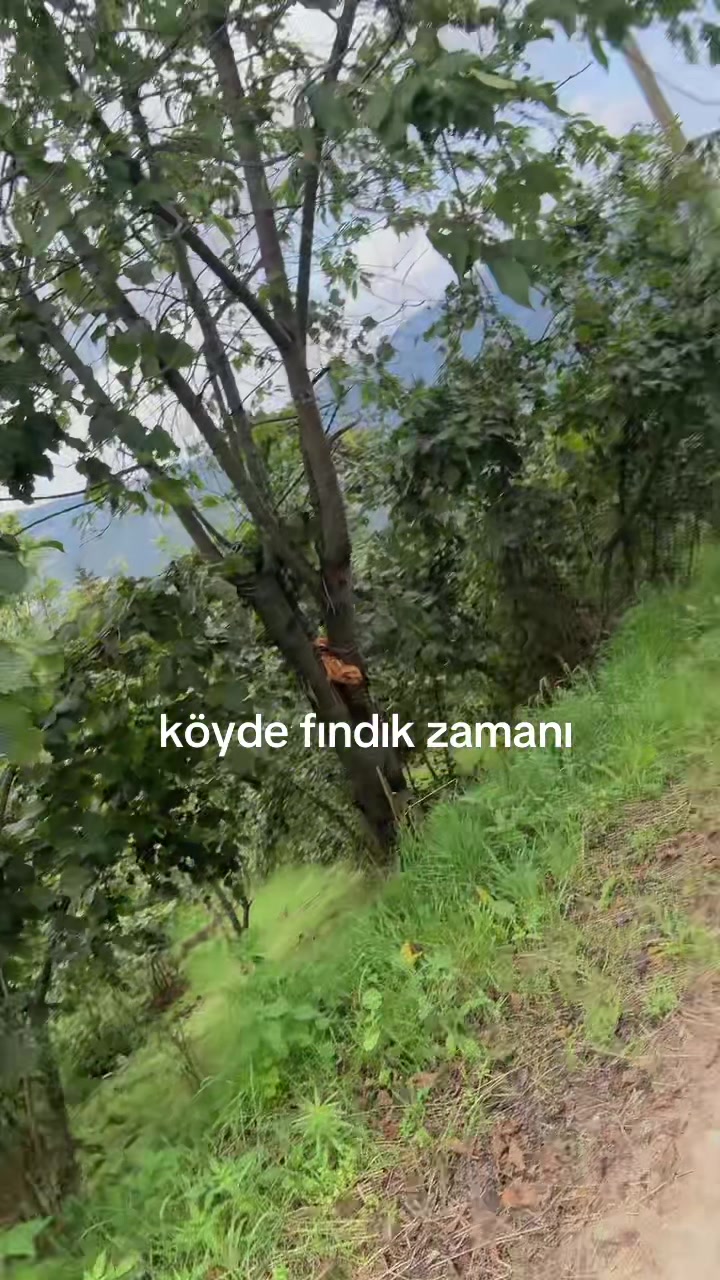 @🦦