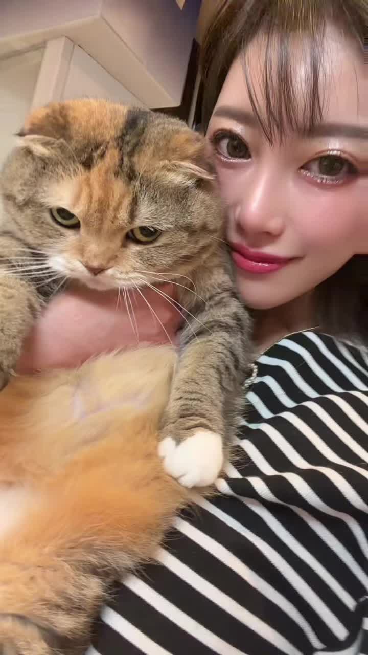 @名前は琴乃🐴💟