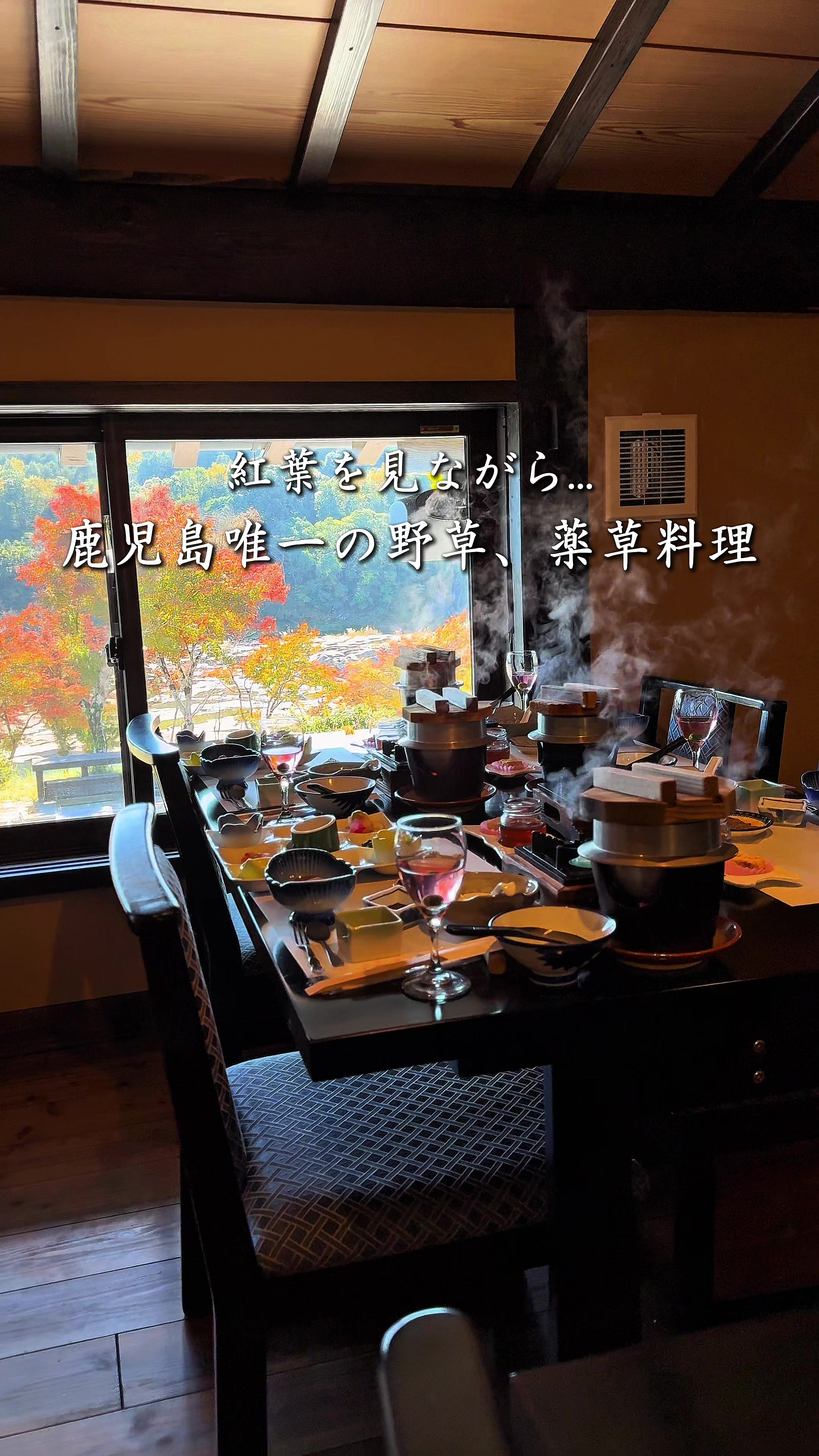 @ポポの休日🌿鹿児島&九州旅🐕