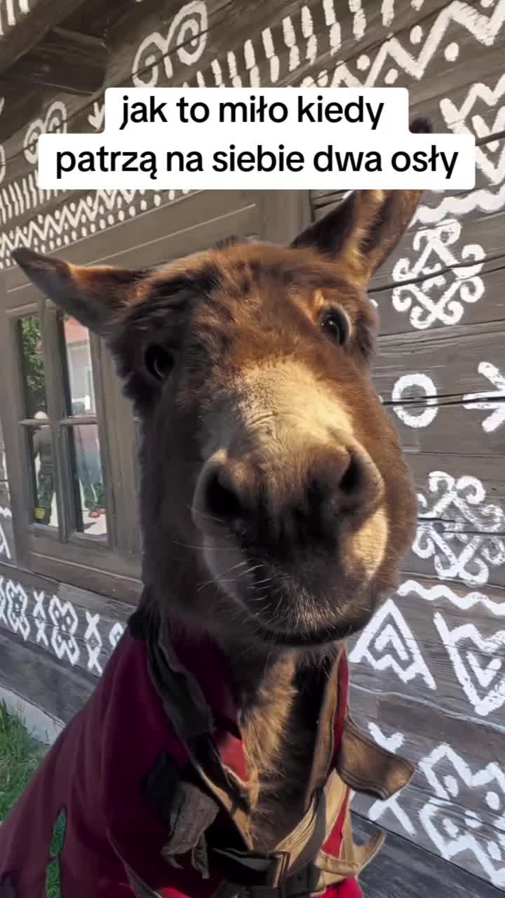@Dariusz