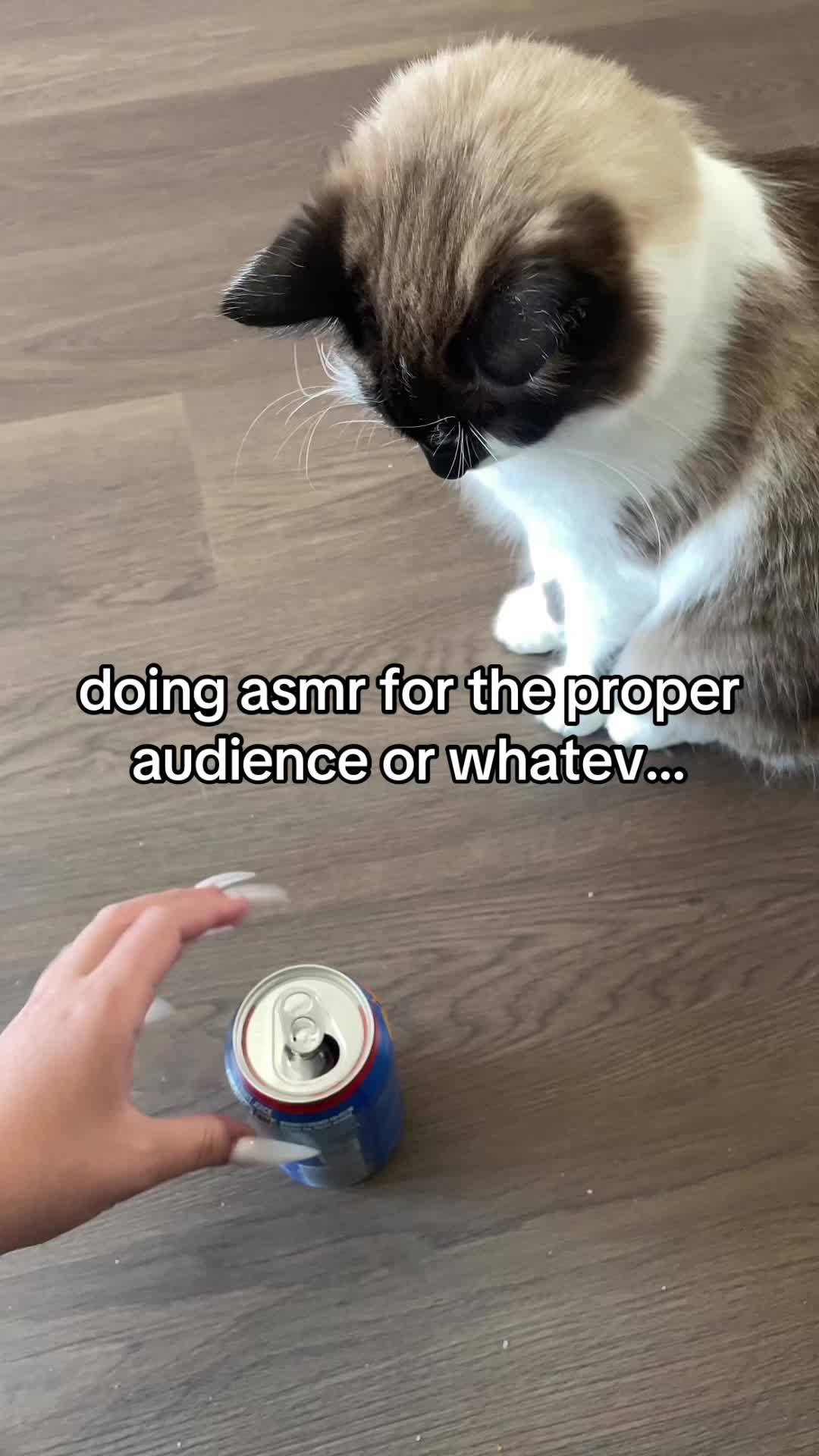 @mek