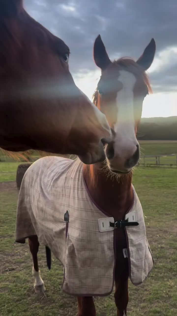 @ThunderGallops