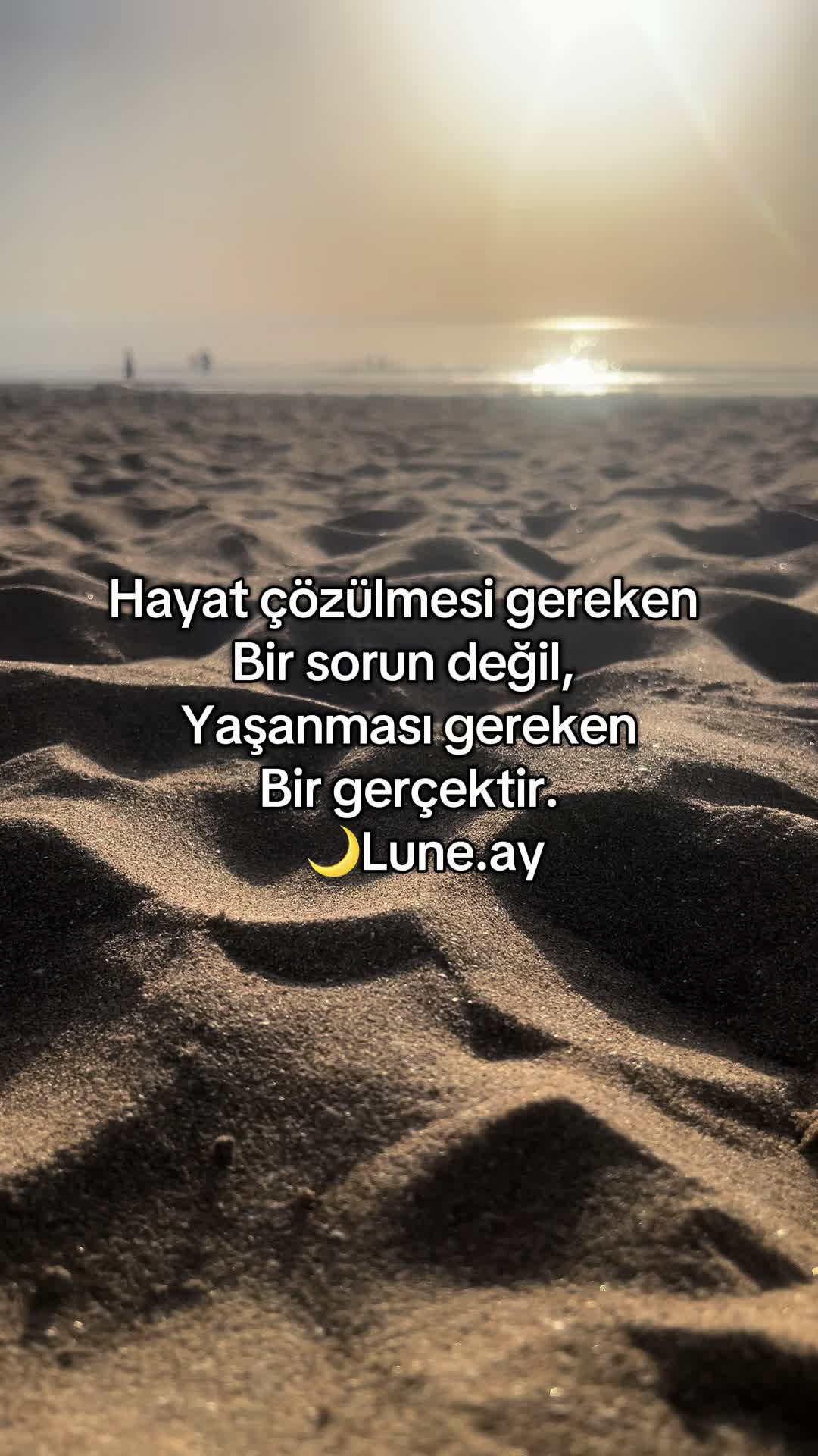 @🌙Lune.ay