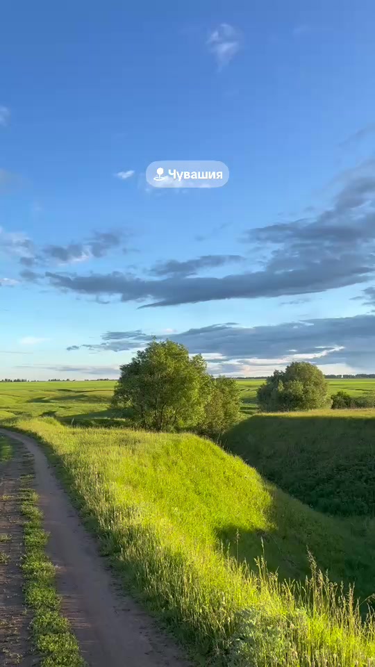 @тгк: Аня в деле