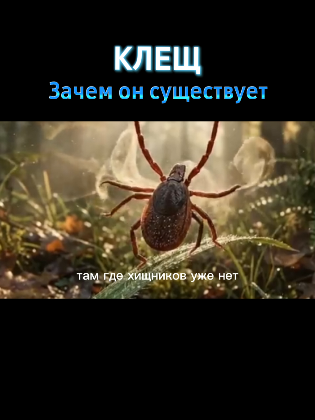 @NewKnow