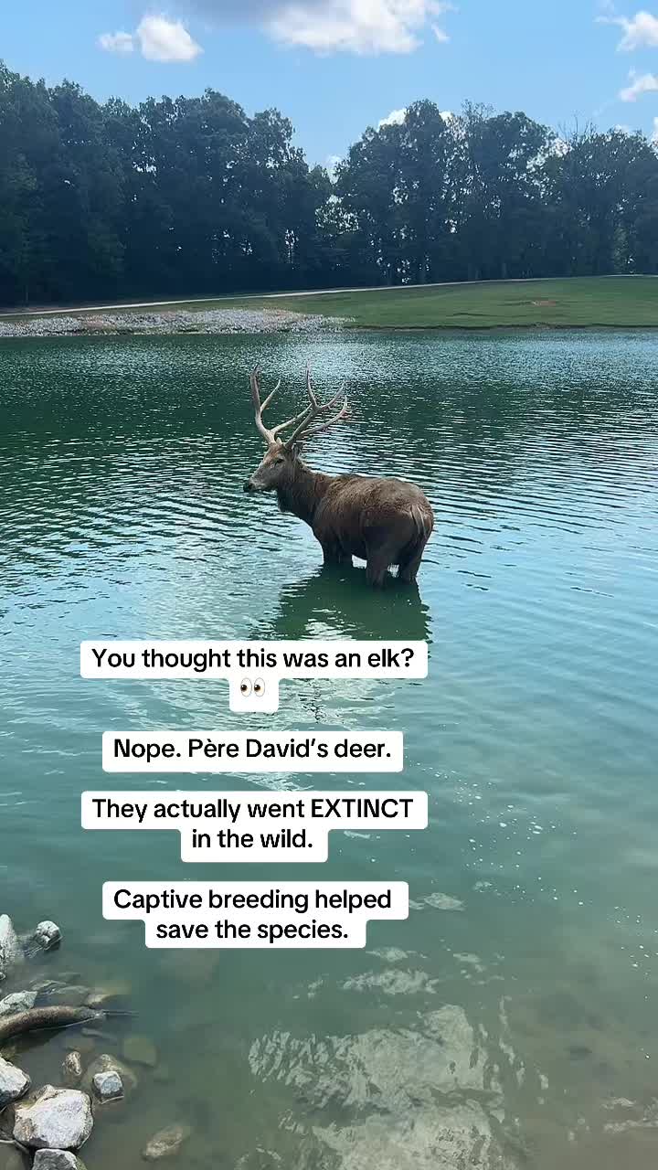 @southlandsafari