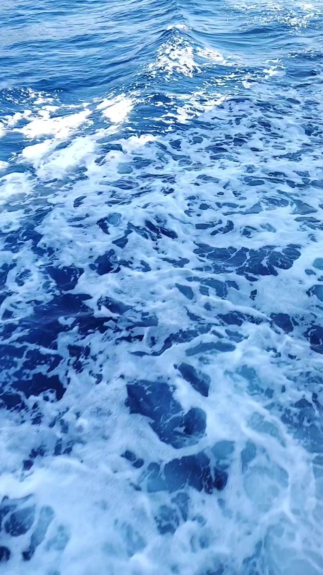 @tanjaa5rs⚓