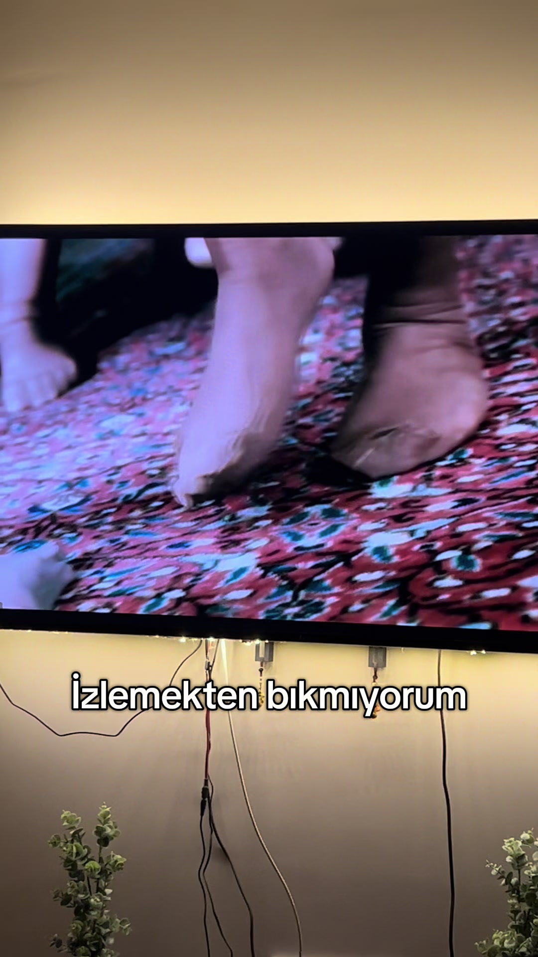 @asmreldaa