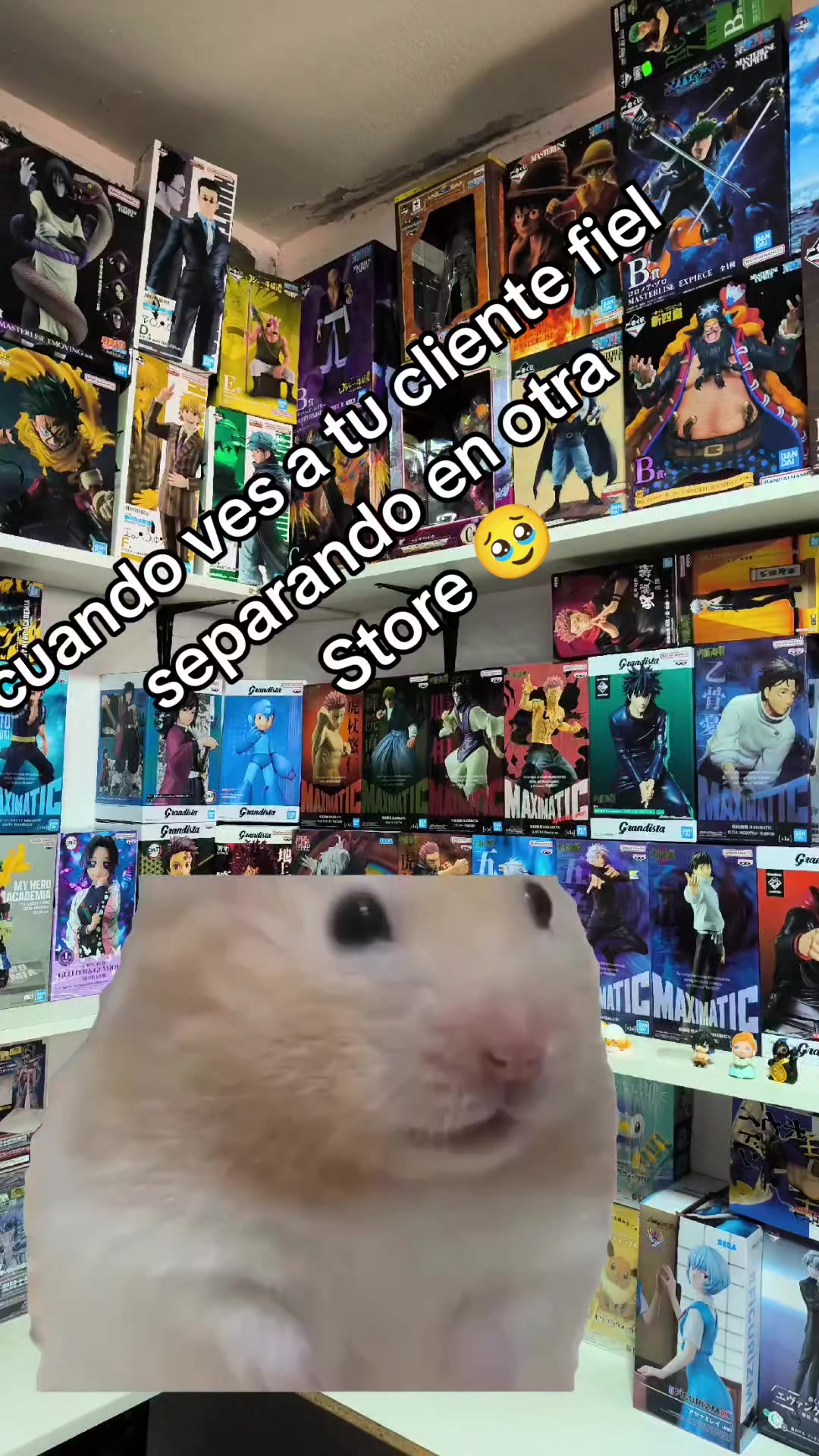 @Oniichan Store
