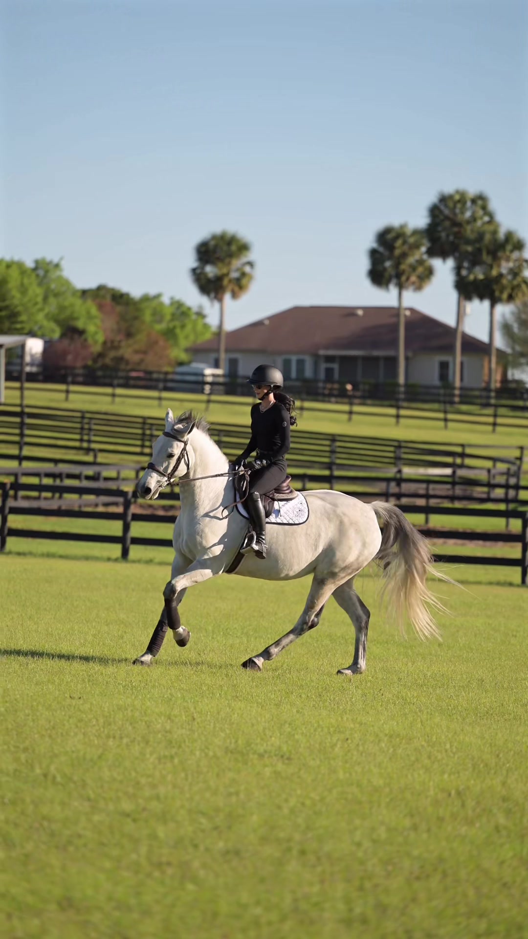 @Free Ride Equestrian