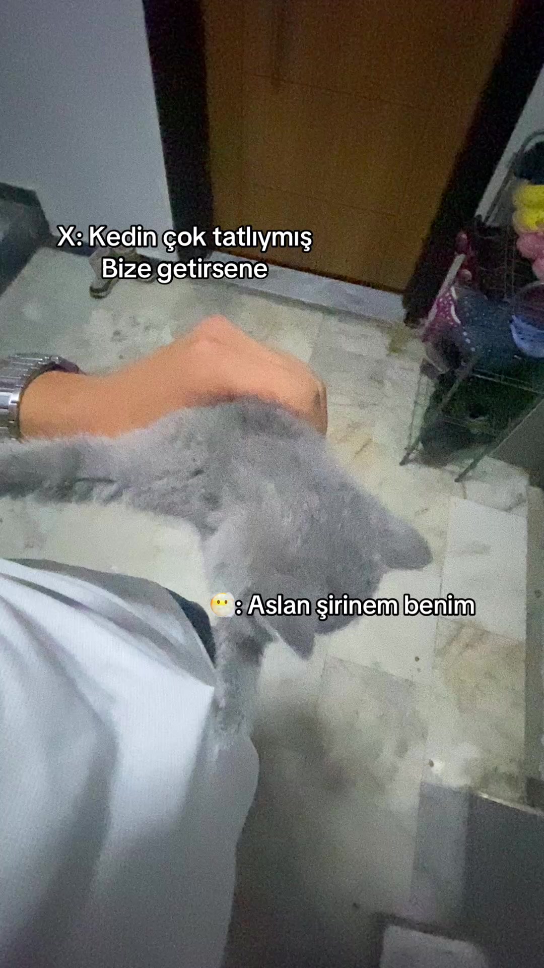 @T.E