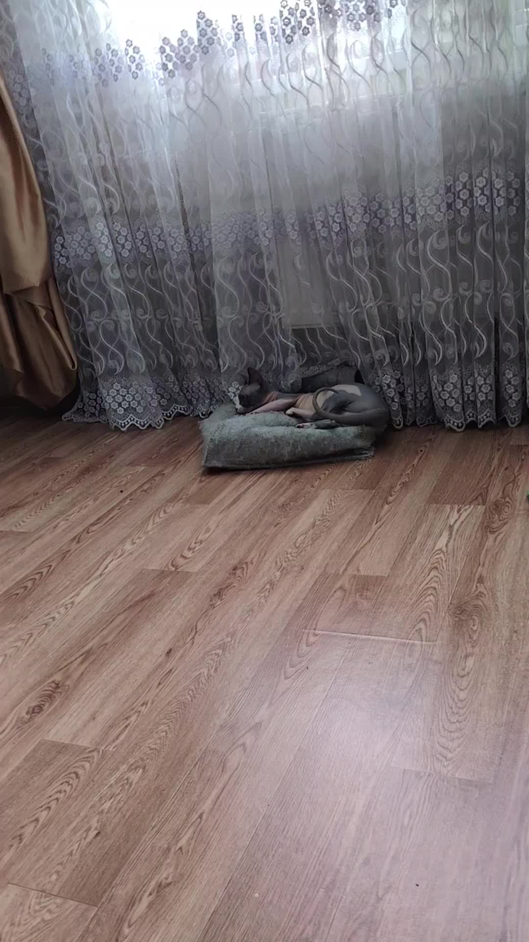 @Daisy&lenochka