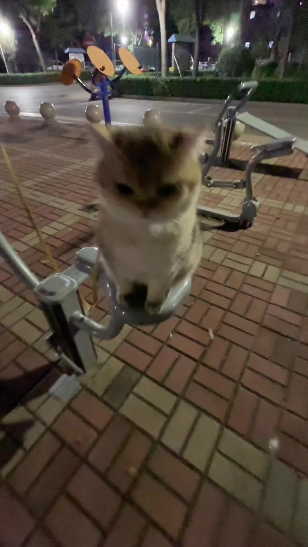 @trạm cute