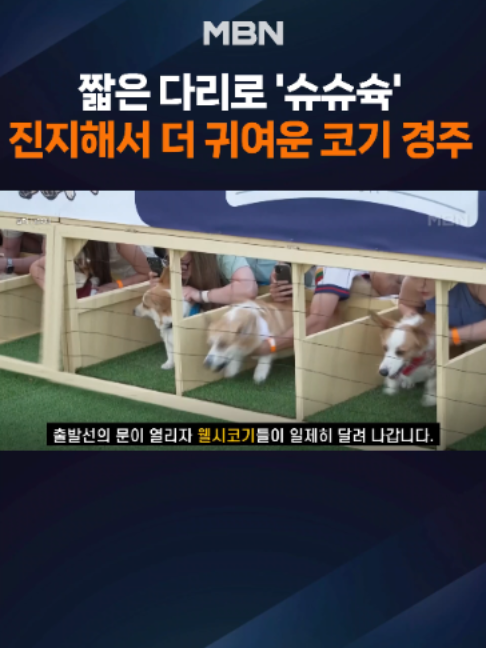 @MBN NEWS