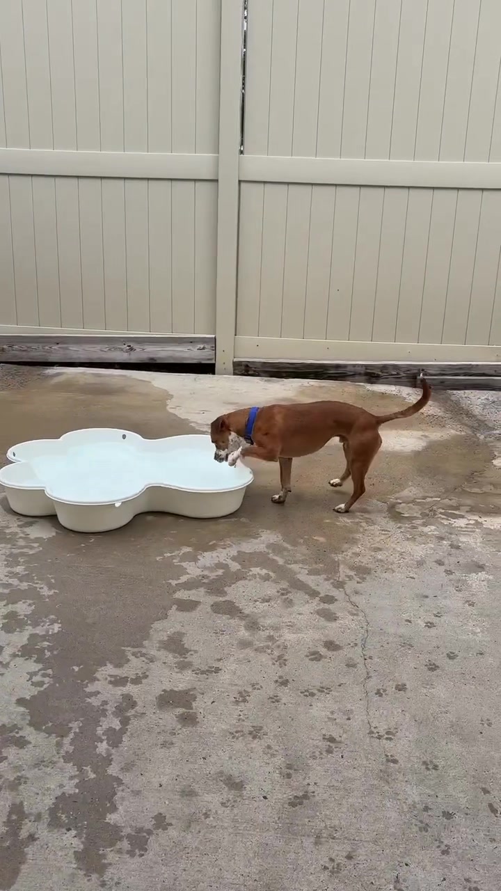 @CampBowWow Eatontown